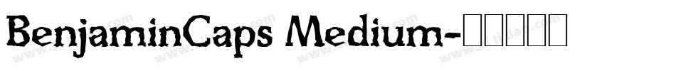 BenjaminCaps Medium字体转换